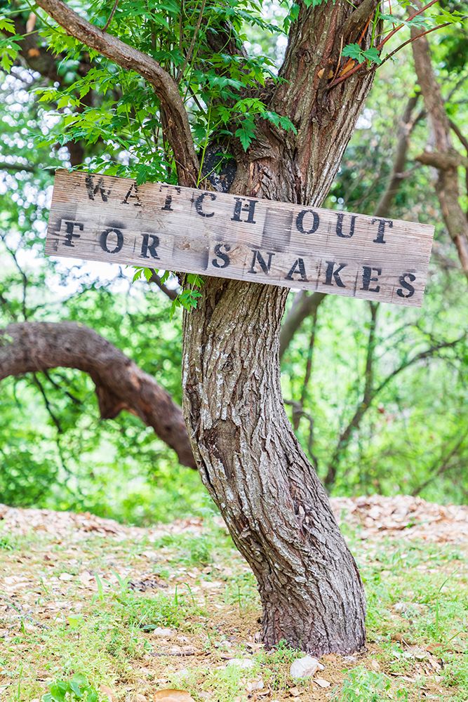 Castroville-Texas-USA-Sign warning snakes in the Texas Hill Country